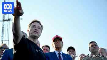 Musk vows 'war' over work visa in first row with MAGA supporters