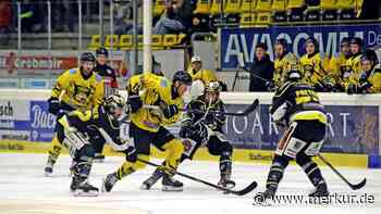 Tölzer Löwen verlieren gegen Bayreuth Tigers: Erfolgsloses Einbahnstraßen-Eishockey