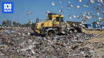 Complaints about foul stench from suburban tip escalate amid health concerns