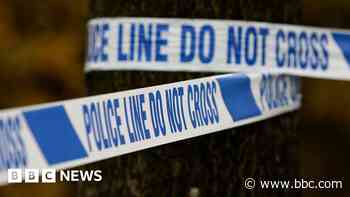 Pedestrian struck by car dies on Christmas Day