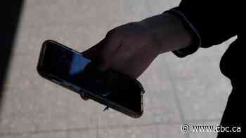 RCMP asks for help handling troubling number of kids radicalizing online