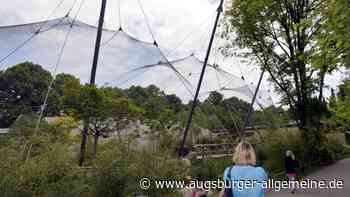 Vogelgrippe bei drei Tieren im Augsburger Zoo nachgewiesen