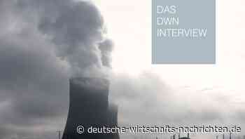 Kraftwerksexperte Manfred Haferburg: "Brown-out ist ziemlich sicher zu erwarten”