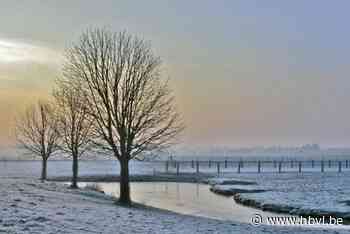 Week lang nachtvorst, ook kans op sneeuw: Koning Winter steekt vanaf vrijdag de kop op