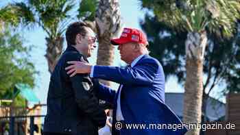 Donald Trump springt Elon Musk im Streit mit MAGA-Hardlinern bei