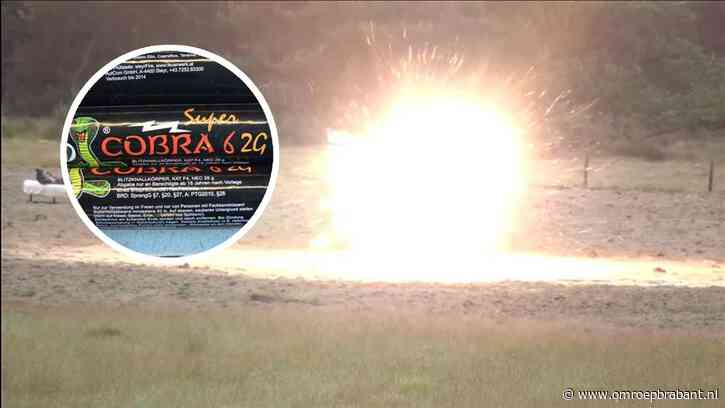 Explosief misdaadjaar met zware celstraffen en heftige zedenzaken