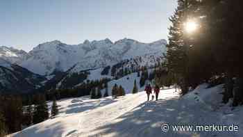 5 ruhige und bezaubernd schöne Gegenden für Winterwanderungen mit Hund