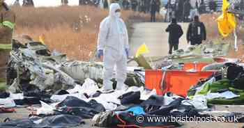 Cause of plane crash in South Korea 'early assessment' after 'warning issued'