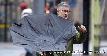 Cambs weather warning issued as 'very strong winds' forecast for New Year