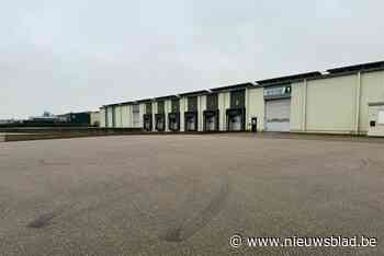 Politie legt bijeenkomst van 300 tuners in Smeermaas stil: vijfde grote illegale tuningtreffen dit jaar in Limburg