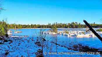 Natur im Kreis Calw: Am Wildsee zeigt sich der  Winter von seiner  schönsten Seite