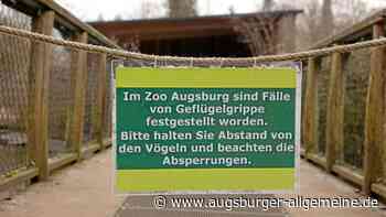 Vogelgrippe wird bei drei Tieren im Augsburger Zoo nachgewiesen