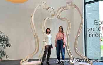 Tongeren: Kunstwerk in de bibliotheek