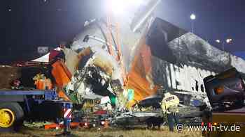 Tödlicher Unfall in Südkorea: Darum ist Vogelschlag für Flugzeuge gefährlich