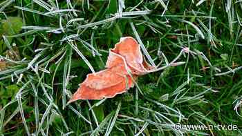 Mehr als nur Ordnung und Schutz: Tipps für einen schönen Garten im Winter