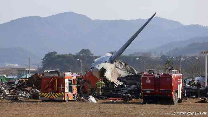 Plane crashes and bursts into flames while landing in South Korea, killing 179