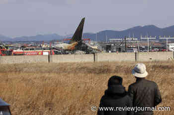 Jetliner crashes while landing in South Korea, killing 179