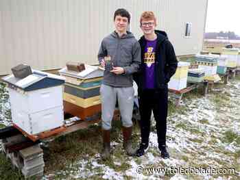 Middle schoolers turn buzz into winning app