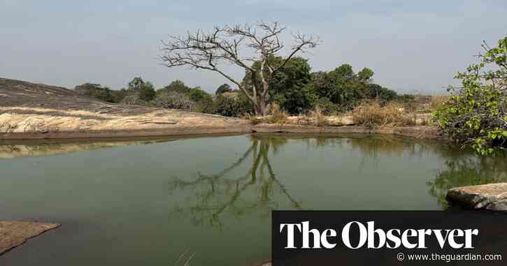 Beaches, beer and a rare suspended lake … why can’t Nigeria attract more tourists?