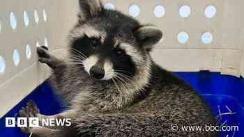 Round-up 2024: Five heartwarming stories you may have missed