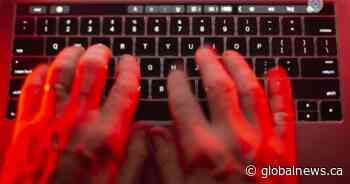 Online child exploitation almost quadrupled in B.C. from 2021 to 2023