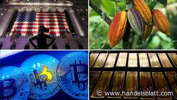 Bitcoin, Kakao, Aktien: Was aus 100.000 Euro Startkapital wurde: In diesem Jahr hat sich Mut zum Risiko ausgezahlt – Was 2025 verspricht