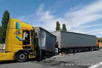 Roemeense trucker die Poolse collega doodreed, veroordeeld tot celstraf met uitstel: “Ik had de rollen willen omdraaien”