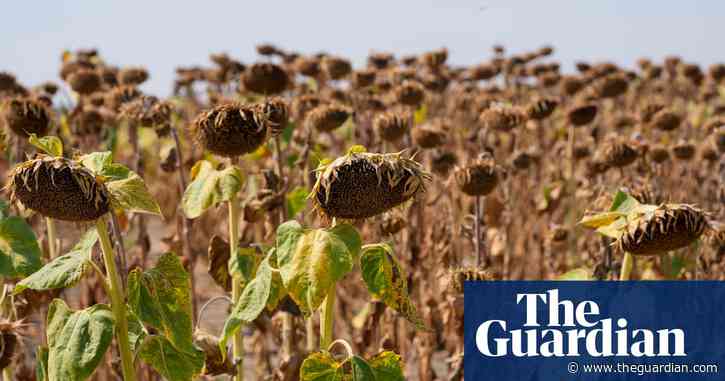 World endures 'decade of deadly heat' as 2024 caps hottest years on record