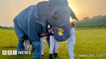 'Puppetry is closest adults get to awe and magic'