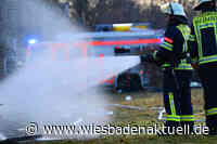 Papiermülltonne in Schierstein in Brand gesetzt