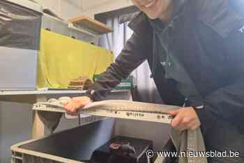 Opvangcentrum VOC Neteland houdt geen winterslaap: het ving het voorbije jaar 4.500 slachtoffertjes op