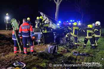 Pkw rammt zwei Bäume