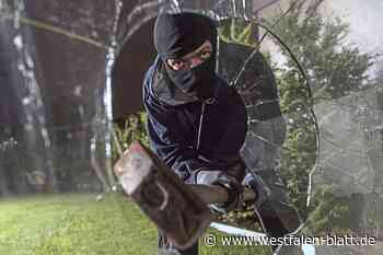 Einbrecher steigen in Einfamilienhaus in Steinhagen-Amshausen ein