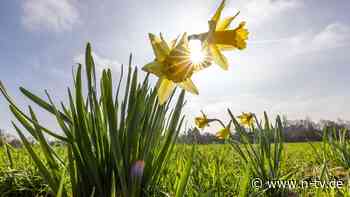 Meteorologischer Jahresrückblick: Zwölf Spitzenwerte machen 2024 zum wärmsten Jahr seit 1881