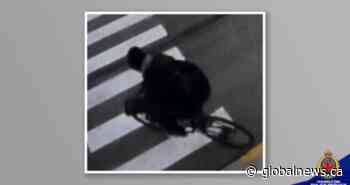 Ontario bank robber forced to flee on foot after ‘fellow delinquent’ steals getaway bike