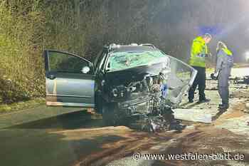 Unfall auf B 241 bei Borgentreich: Frau (61) stirbt