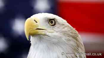 Everyone's asking the same question after the bald eagle is declared America's national bird