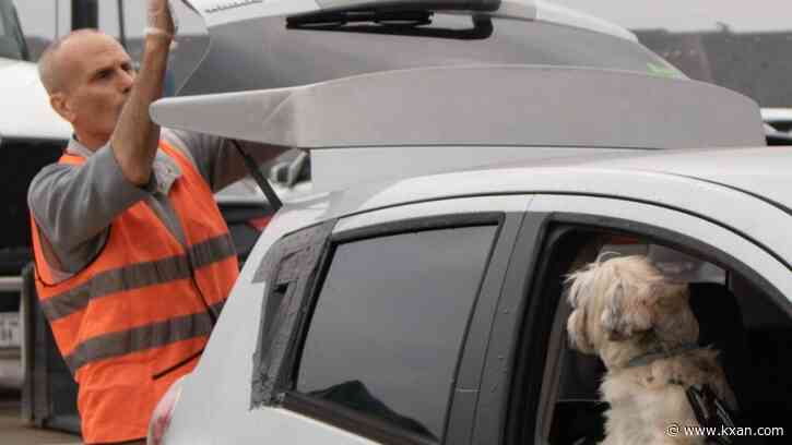 Several pets receive resources at annual APA! end-of-year event