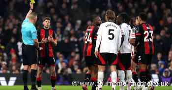 'There is no doubt about the red card': Fulham boss Silva on Christie challenge