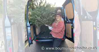 Charity's Christmas tree recycling initiative returns for tenth year