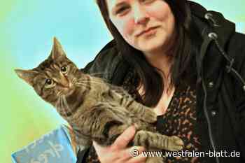 Immer mehr Tiere: Seuche trifft auf Bumerang-Effekt