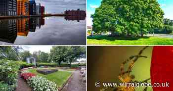 What a year it's been as the seasons changed across Wirral in 2024