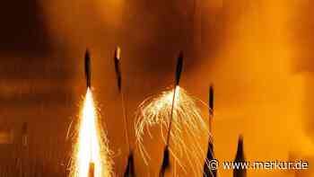 Feuerwerk und Böller sind ein Todesurteil für viele Vögel