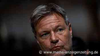 Habeck: „Unsere Demokratie steht unter Druck“
