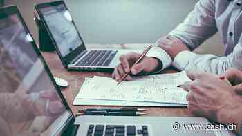 Firmengründungen erreichen 2024 erneut Rekordstand