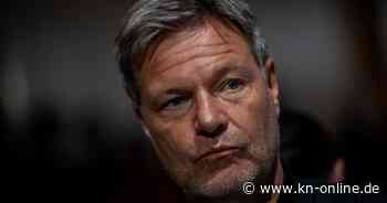 Habeck kritisiert Musk für AfD-Werbung – dieser beleidigt Steinmeier als „Tyrann“