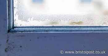 Stop condensation on windows in winter using 2 kitchen staples