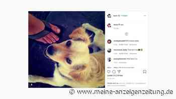 Instagram-Premiere: So sah der allererste Post aus