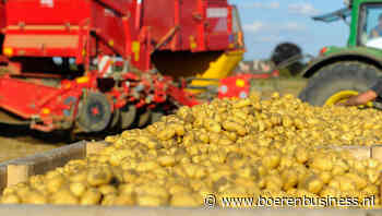 Aardappel- en uienmarkt in Zuid-Afrika zijn booming