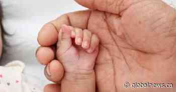 Noah and Charlotte top baby names in New Brunswick for 2024